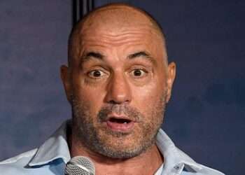 joe rogan net worth
