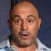 joe rogan net worth