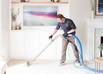 professional carpet cleaning services