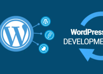 What Are the Benefits of WordPress Website Development for Your Business?