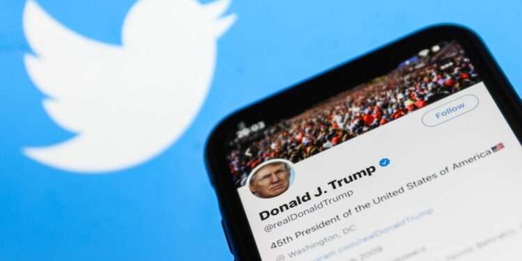 After Trump: TrumpBellenGadget – A Comprehensive Guide