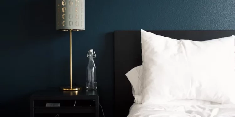 Home Interior Paint