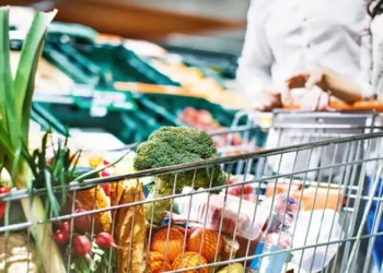 Indícame el Camino a la Tienda de Alimentos más Cercana