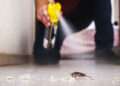 pest control services near me