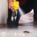 pest control services near me