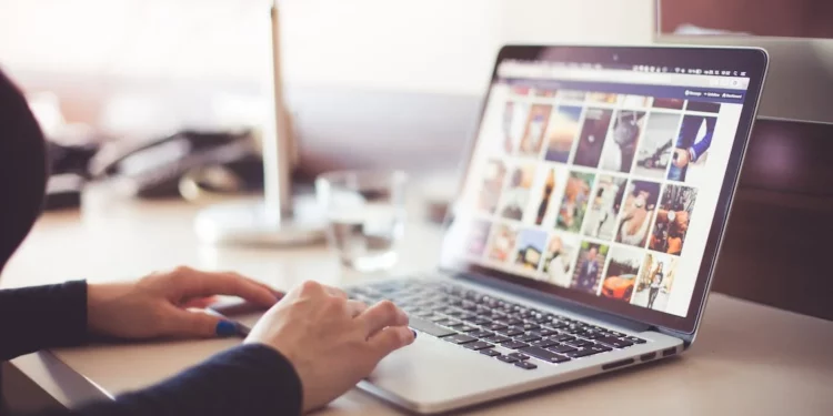 46.948.861 Jose Luis Rodrigues Palmas