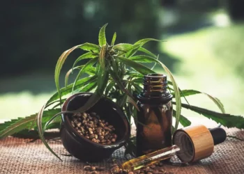 Cannabis And Its Products