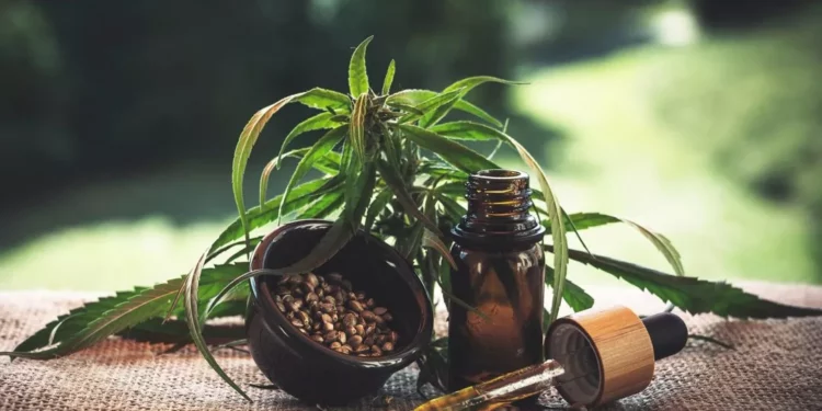 Cannabis And Its Products