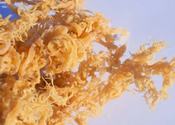 Wild Crafted Sea Moss