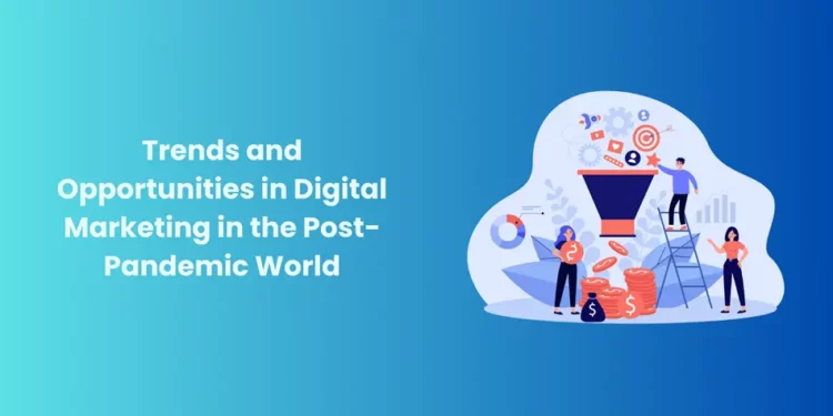 Search Engine Optimisation Career