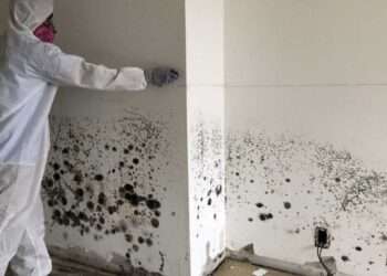 The 2024 Ford Bronco