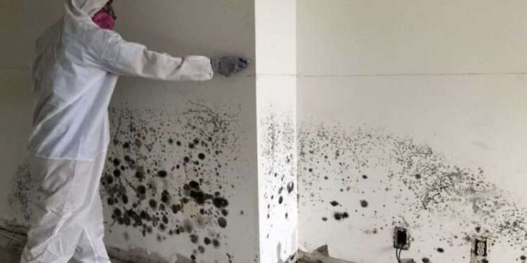 The 2024 Ford Bronco