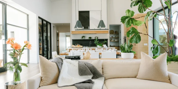 Tips for Ensuring a Healthy Home Environment Through Moisture Control