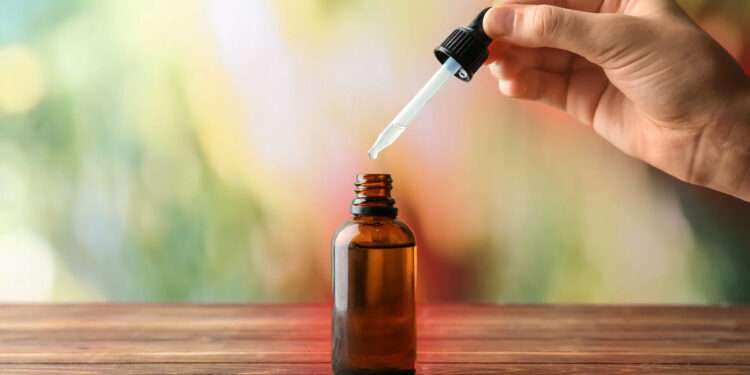 What Is Tcintikee? A Complete Beginner’s Guide