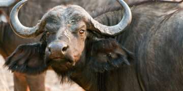 בשךקa: Stories, Ideas & Everyday Reflections