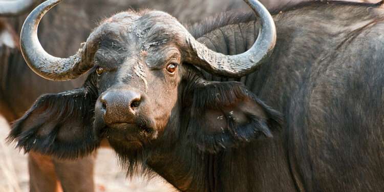 בשךקa: Stories, Ideas & Everyday Reflections