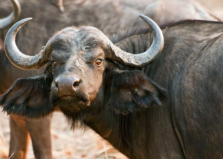 בשךקa: Stories, Ideas & Everyday Reflections