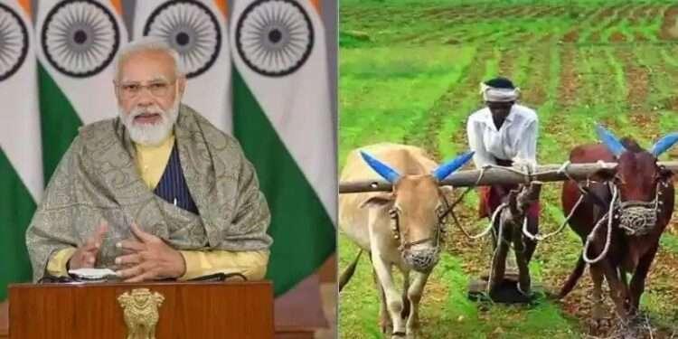 pm kisan