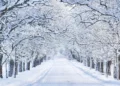 snow