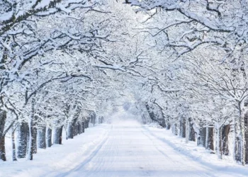 snow